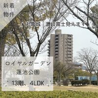 画像377