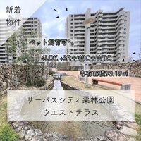画像385