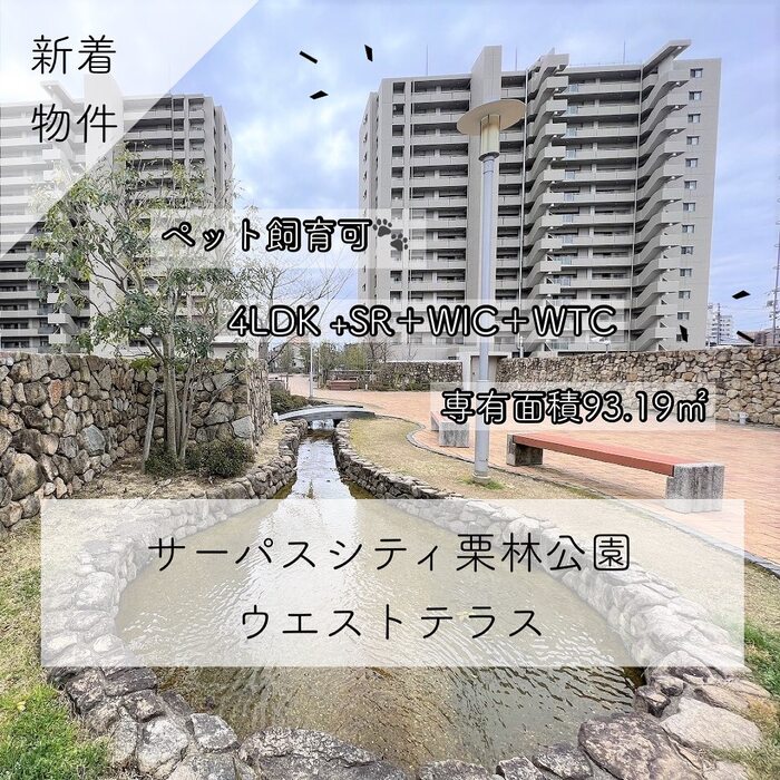 画像385