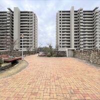 画像388