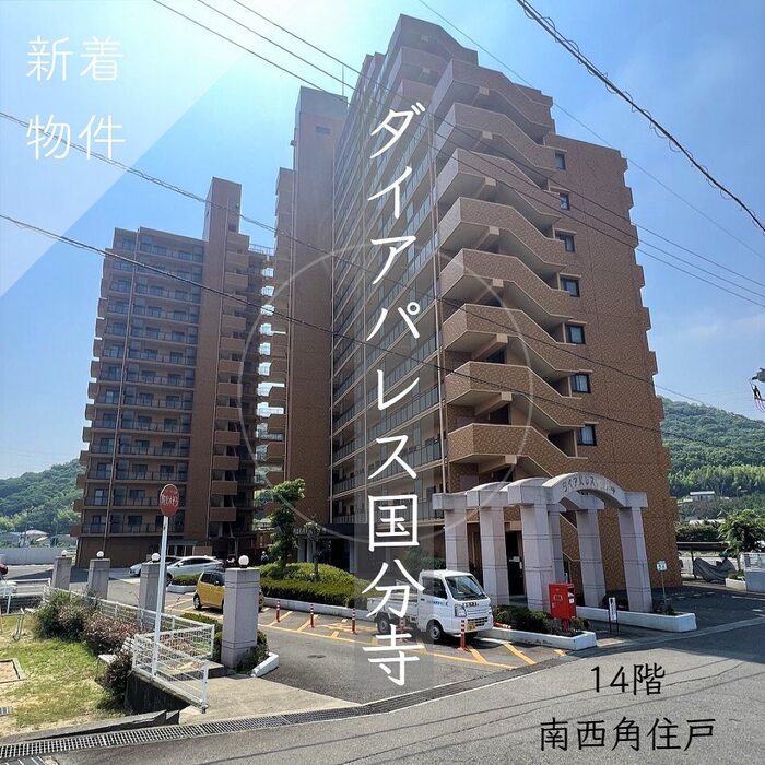 画像455