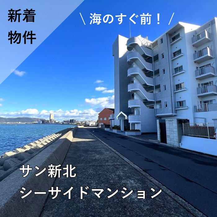 画像554