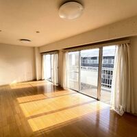 画像557